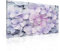 Blumen Hortensie Lila Leinwand Bilder (PP2295O1FW) - Wallsticker Warehouse - Size O1 - 100cm x 75cm - 230g/m2 Canvas - 1 Piece