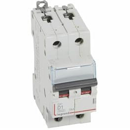 408008 Disjoncteur bipolaire 1A - 2P Courbe D - 6/10kA - À vis - Legrand DX3