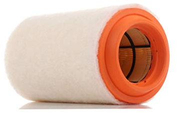 PURFLUX A1494 Filtro aria motore Cartuccia filtro