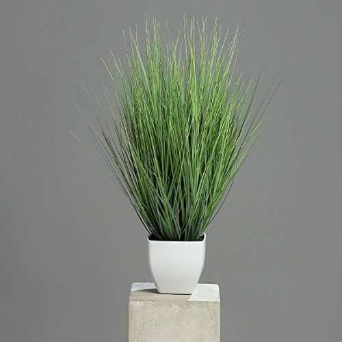 DPI Isolepsisgras - Kunstpflanze - im Topf - 60 cm