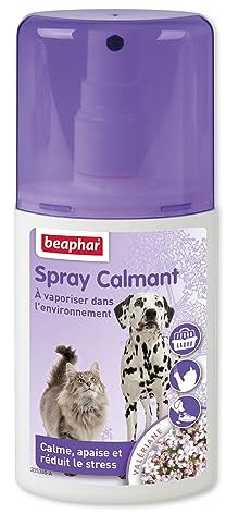 Beaphar Calming Spray Antiestres Natural para Perros y Gatos 125ml, Reduce Estrés y Ansiedad, Miedos, Nuevo Hogar, Ladridos, Ruidos Fuertes, Conflictos, Viajes, Mordeduras, 125ml