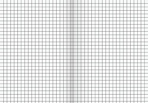 Brunnen 104692201 Schulheft (A6, 32 Blatt, kariert, Lineatur 52, 6 Motive)