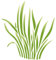 Gras-Schablone – 16,5 x 19 cm (S) – Wiederverwendbare große Schilfrohr-Schablone für Babys und Kinderzimmer