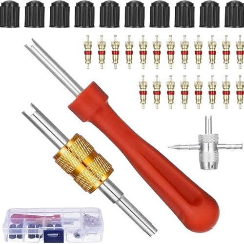 scyca Outil pour enlever le noyau de valve - Outil de démontage de tige de valve de pneu - Outil de réparation de pneu | Outil d'agrafage en métal multifonction pour voiture, moto, camion, etc.