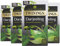Twinings Darjeeling 50 Teabags (Pack of 4,Total 200 Teabags)