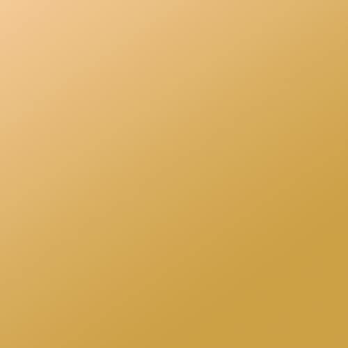 plottiX 101350 Aufbügelfolie, Gold, 32 x 50cm