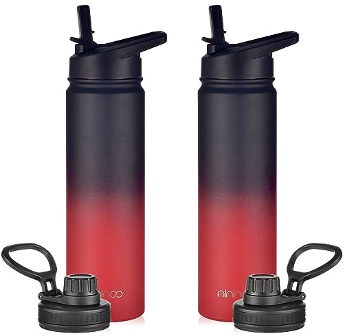 mininoo 24 oz Insulated Water Bottle with Straw Lid, Stainless Steel Double Wall Vacuum, Leak Proof, BPA Free, Keep Cold for 24H & Hot for 12H-2 pack(Ice Coke)