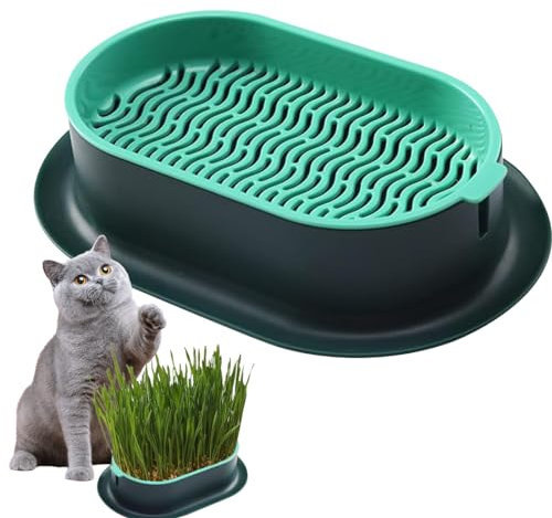 Bukezudang Katzengras Pflanzkasten, Pflanzschalen Für Katzengras Keimschale, Katzengras Schale, Hydrokultur-Katzengras-PflanzgefäßG, Pflanzer Hydroponics Seed Sprouter, Pflanzschalen FüR Katzengras