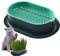 Bukezudang Vaso Per Erba Gatta Consente, Erba Gatta Semi, Vaso Idroponico Per Erba Gatta, Germogliatore - Cat Erba Vassoio - Vassoio Semi Germinazione Idroponica, Per Gatti e Animali Domestici