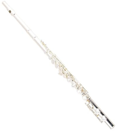 Linkshänder Flöte Rückhandinstrument 16 Löcher für Linkshänder geschlossenes Loch versilbert Bassflöte