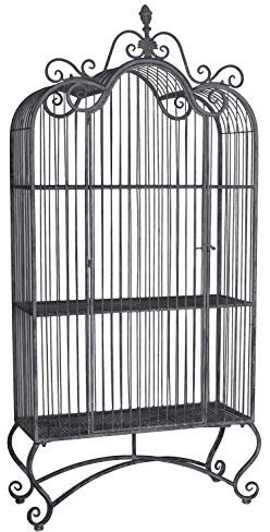 Eisenregal mit Tür Landhausstil Gartenregal Blumenregal Antik Regal Viktorianisch aja282 Palazzo Exklusiv