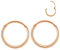 JOYMORE 2pcs 20g 8mm Rose Gold 316L Surgical Steel Small Endless Hoop Earrings Nose Ring Hinged Segment Septum Cartilage 20 Gauge Daith Helix Rook Piercing Jewelry Lip