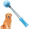Jouet à mâcher pour chien avec ventouse | Jouet interactif pour tirer les chiens avec ventouse – Jouets à mâcher pour chiens, jouets à boule distributeurs de nourriture, jouets indestructibles