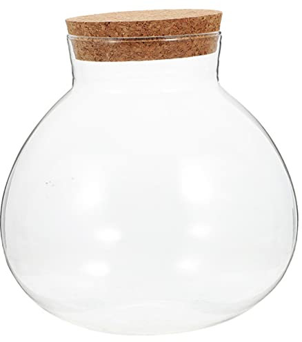 MINAOLULUS Bouteille Verre Terrarium pour Plantes Contenant Transparent avec Design Sphérique Élégant