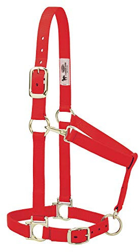 Weaver Leather Basic verstellbares Nylonhalfter, Rot, 2,5 cm kleines Pferd