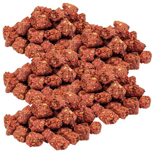 Schecker Hundesnack - Insect Knuspies 5 x 250g - Hundeleckerlie mit 30% Insektenprotein - getreidefrei - Glutenfrei - Hypoallergen