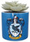 Harry Potter Half Moon Bay Pot de Fleurs d'intérieur | Pot de Fleurs en céramique et Pots de Fleurs d'intérieur | Pots de Fleurs décoratifs d'intérieur | Jardinière d'intérieur et Cadeaux Serdaigle |