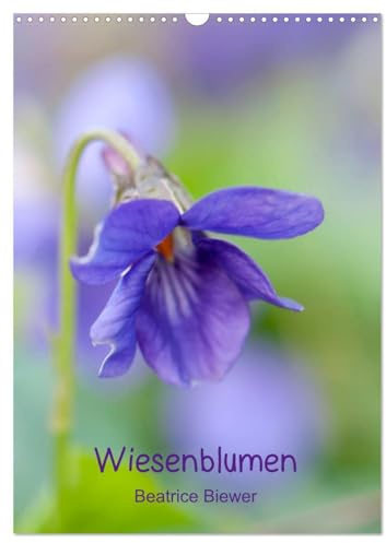 Wiesenblumen (Wandkalender 2026 DIN A3 hoch), CALVENDO Monatskalender: Die kleinen wilden Blumen von den Wiesen und Feldern (CALVENDO Natur)
