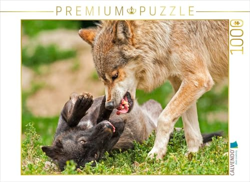 CALVENDO Puzzle Wölfe | 1000 Teile Lege-Größe 64 x 48 cm Foto-Puzzle für glückliche Stunden