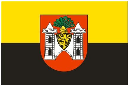 UB Fahne/Flagge Plauen 90 cm x 150 cm Neuware!!!