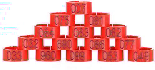 Taubenringe, 100 StÜCk TaubenfußRinge Vogel BÄNder Kunststoff GeflÜGelbeinringe Taubenbeinringe Taubenbeine GeflÜGel FußRinge Tauben HÄHnchen BrieftaubenfußRing TaubenfußRing Kleiner Markierungsvogel