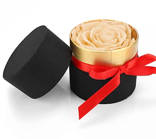 RANJIMA Rose Geschenk Kit, Ewige Rosen, Infinity Rose, Haltbare Rose, Mini-Geschenkbox Ewige Rose,Geschenk für Muttertag, Erntedankfest, Weihnachten, Frauen, Romantische Konservierte Rosen