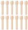 GNIEMCKIN 12 PCS Wood Carving Spoon Set, Premium Basswood Blanks for Whittling and Craft Projects