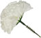 INERRA Artificial Flower Carnation Picks - Pack of 100 - For Floral Foam Tributes, Letters and Funeral Arrangements (White)
