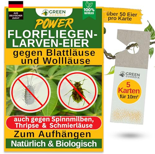 GREEN GUARDIA Power Florfliegenlarven-Eier gegen Blattläuse, Spinnmilben, Thripse & Co. - 5x Karten zum einfachen Aufhängen - starke Wirkung bei Gemüse-, Cannab.- & Zierpflanzen