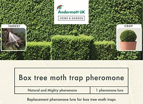Box tree moth pheromone - 1 pheromone attractant lure refill - Suitable for any trap - Andermatt Home & Garden