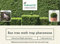 Box tree moth pheromone - 1 pheromone attractant lure refill - Suitable for any trap - Andermatt Home & Garden