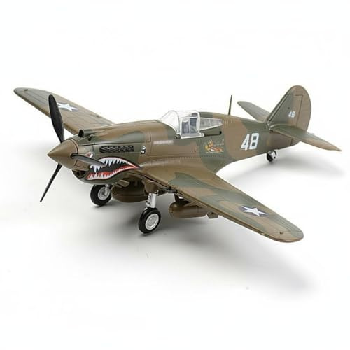 Baoblaze Scale Aircraft P-40 Fighter Plane Model Airplane Glue Assembly Collector Display Historical Decor Suitable for Enthusiasts Office Home, Flying Tigers Panda