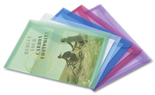 Rapesco 1041 ECO Dokumentenmappe mit Druckknopf, A3, unterschiedliche Transparente Farben, 5 Stück