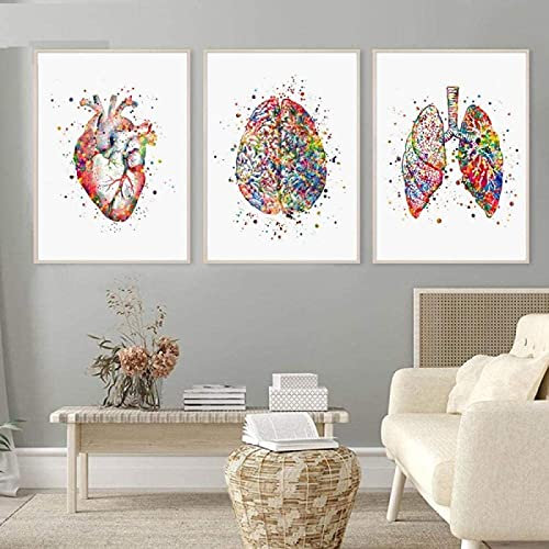 JIERUIFBH Kunstdrucke Aquarell Anatomie Kunstklinik Dekor Medizinisches Herz Gehirn Lunge Druck Arztpraxis Dekoration Med Student Geschenk3 Stück 50x70cm ohne Rahmen