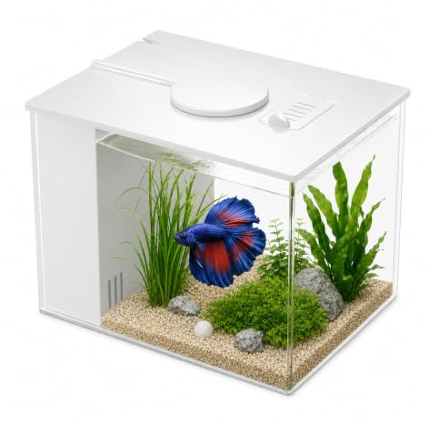 Kit complet d'aquarium de 3,7 l, petit aquarium de table, nano aquarium autonettoyant avec lumières LED et système de filtration, idéal pour les petits poissons, crevettes et plantes (blanc)