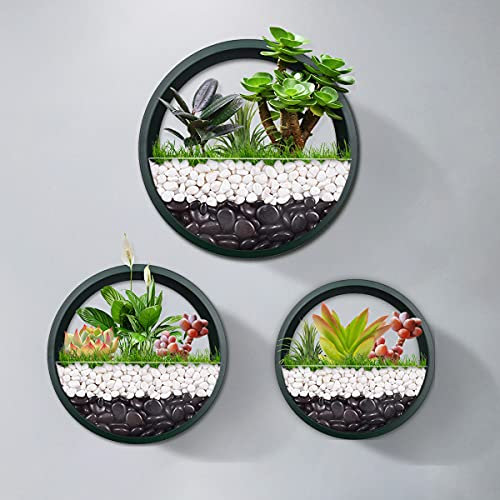 Confezione da 3 fioriere da parete da appendere – moderno cesto rotondo da parete verticale vaso da fiori per interni ed esterni, vaso per piante grasse, piante grasse, cactus e orchidee (verde)