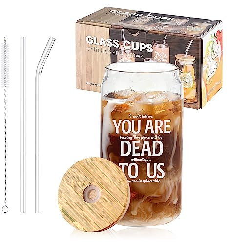 SHENDONG Coworker Leaving Gifts - Farewell Gifts, Going Away Gift for Coworker - New Job, Goodbye, Good Luck Gifts for Coworkers, Colleagues, Boss, Men, Women, Friends -16 Oz Can Shaped Glass Cups