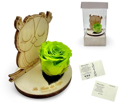 Rosa Stabilizzata con Gufo in Legno – Fiore Naturale a Lunga Durata, Intaglio Laser e Scatola Elegante – Idea Regalo Simbolica Made in Italy (Verde)