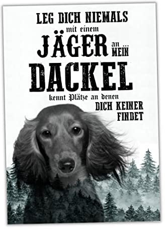 Schild DACKEL Dog Hund Wall Art Spruch Türschild Hundeschild Jagd Jagdhund Geschenkidee lustiger Spruch Hundemotiv Aluminium Wetterfestes Hundeschild