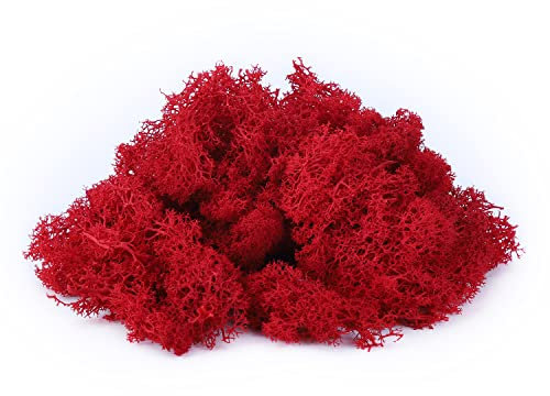 IHKFILAN Islandmoos Zum Basteln Moos Pflanzen Deko Mooswand Lebend Konserviertes Haltbares Natur Moos Dekomoos für Die Zu Ostern,Modellbau (Rot, 100g)