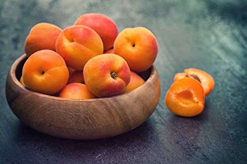 Prunus armeniaca seeds Apricot Mirabelle plum domestica avium cherry –