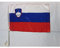 AZ FLAG - Autofahne Slowenien - 45x30 cm - Slowenische Autoflagge 30 x 45 Cm - Auto Flaggen