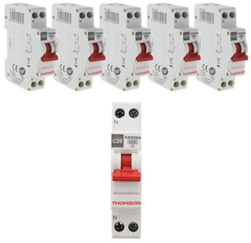 Lot de 6 disjoncteurs à vis PH+N - 20A NF - Thomson