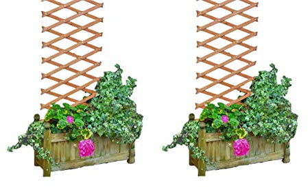 Set Of 2 6ft Expanding Wooden Garden Trellis Climbing Plant Support Fence Brown 6ft x 2ft