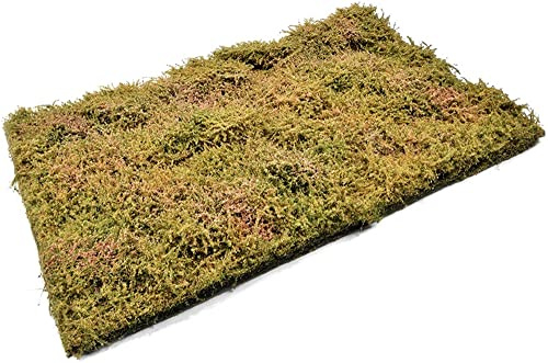 Ammo by mig Jimenez – Ammo by Mig Jimenez – Zubehör Diorama Wilderness Fields with Bushes – Late Summer Ammo by Mig Jimenez Amig8364 Modellpanzer