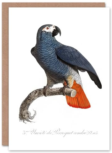Artery8 Francois Levaillant Art Card The Grey Parrot Illustration