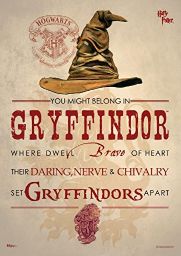 MIGHTYPRINT Harry Potter – Gryffindor – Hogwarts Sorting Hat House Cita – Durable 17 x 24 pulgadas arte para pared – No hecho de papel – Producto de colección oficial…