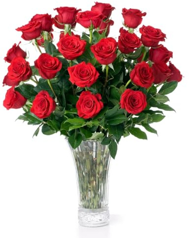 Aquarossa Farms – Flowers for Delivery, Fresh Flowers Bouquet, Handpicked from the Farm, Gift for Birthday, Anniversary, or Just Because – 24 Fresh Roses