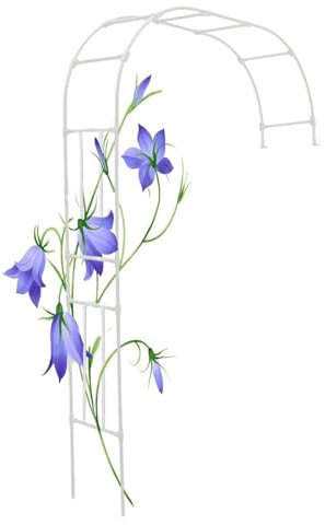 Gartenbogen Rosenbogen aus robustem Metall für den Außenbereich, H 240 270 300 cm, Spalier für Gartenlauben, leicht zu montierende Gartenbögen an der Wand für Blumenranken, Gitter für Torpfo