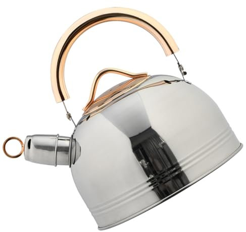 LABRIMP 1pc Large Capacity Stainless Steel Teakettle for Induction Gas Stove Efficient Boil Water Kettle for Tea and Mulled Wine Practical Design for Household Use